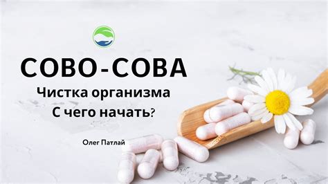 Очищение организма и восстановление сил