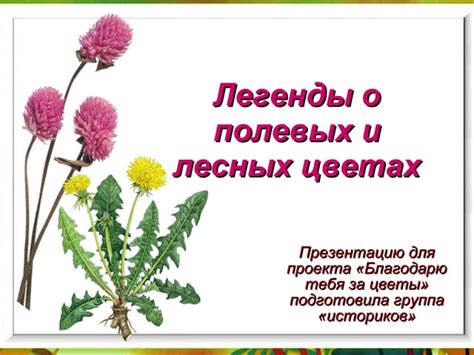 Ощущение радости и благополучия в снах о полевых цветах