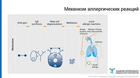 Падение иммунитета и возникновение аллергических реакций