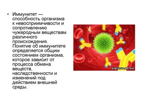 Падение иммунитета и возникновение заболеваний