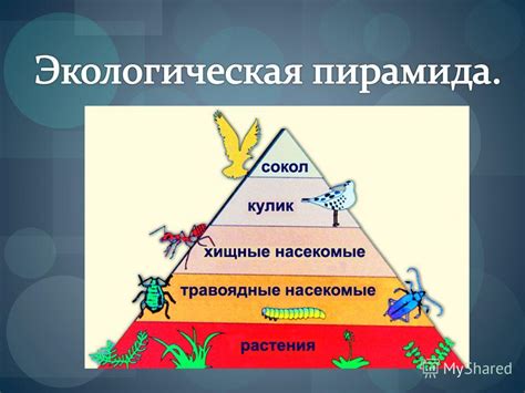 Падение уровня энергии и настроения