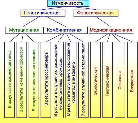 Партер и его особенности