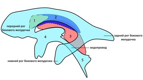 Паруса