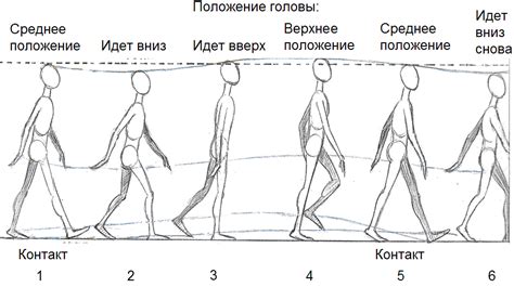 Пары выбосающихся и останавливающихся действий при идентификации ходьбы