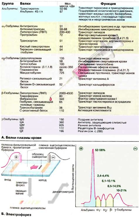 Патологии, связанные с нарушениями плазмы крови