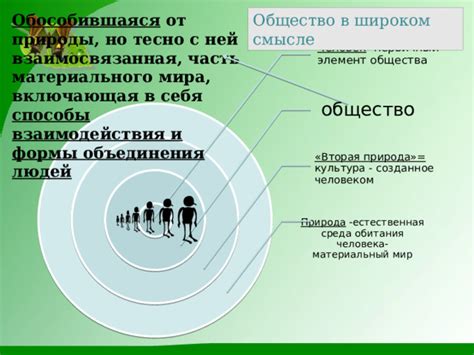 Пауки и предчувствия: как они связаны?