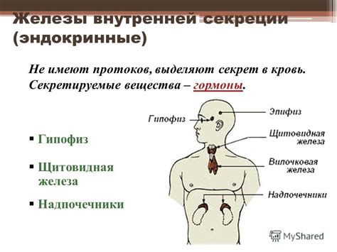 Первые научные наблюдения в области железы внутренней секреции