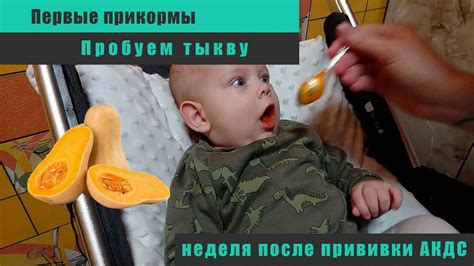 Первые прикормы из индейки