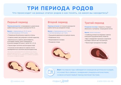 Первый период: схлопывание и сгущение