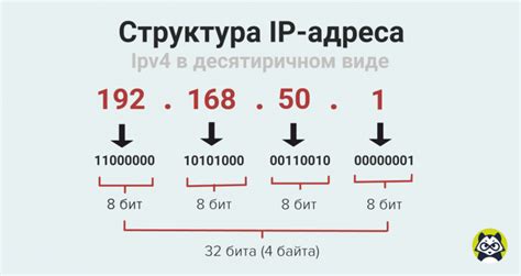 Перевод IP-адресов: что это означает?