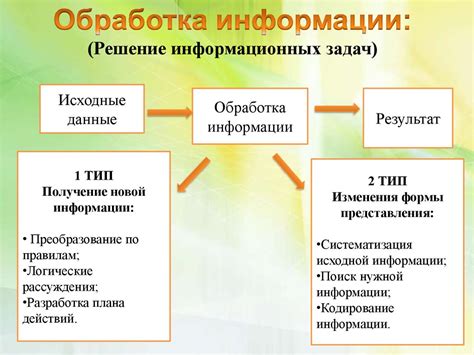 Передача и обработка информации в организме