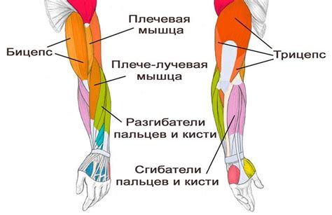 Перенапряжение руки и плеча