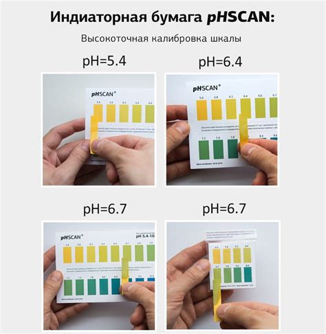 Переносный смысл лакмусовой бумажки