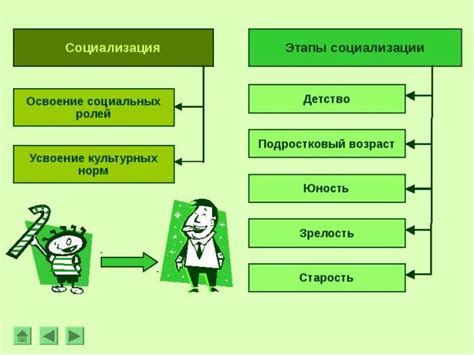 Периоды социализации в жизни человека