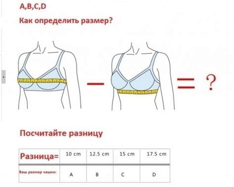 Питание и размер груди: связь их размера