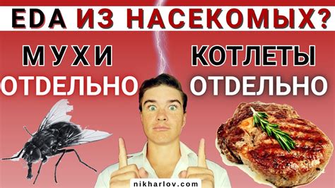 Пищевая активность насекомых