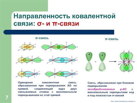 Пи-связь в биологических молекулах