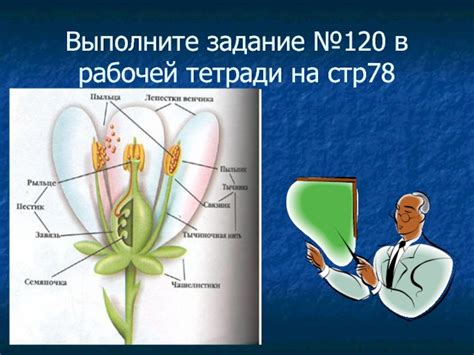 Планирование ухода за разными видами растений в рабочей тетради