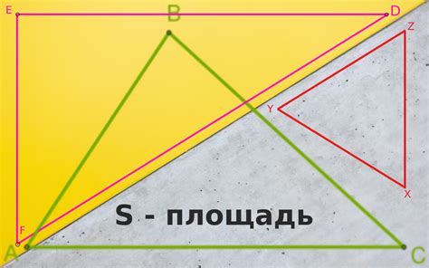 Площадь: определение и примеры из школьной программы 3 класса математики