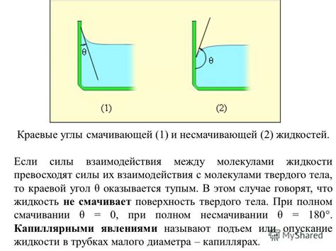 Поверхность тела и поверхность соприкосновения