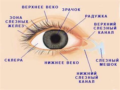 Поверье о глазах