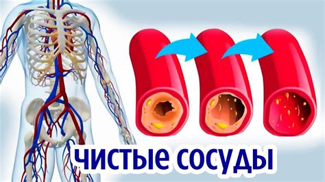 Повреждение желез и сосудов