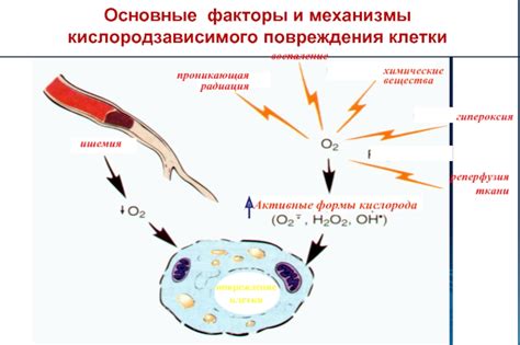 Повреждение клетки тест: ключевые факторы