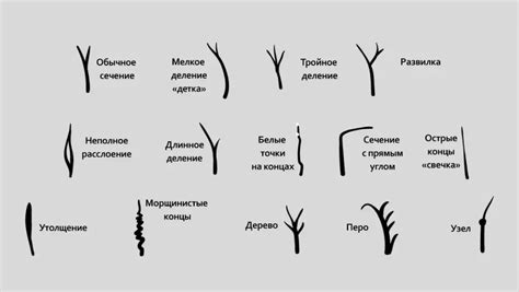 Повреждение структуры волос