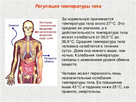 Повышение температуры тела и ускорение обмена веществ