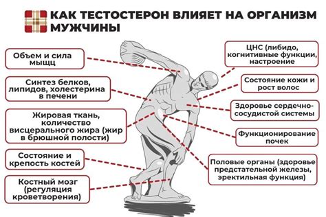 Повышение уровня гормона мелатонина