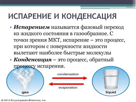 Повышенная влажность и конденсация