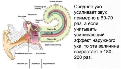 Повышенное давление в среднем ухе