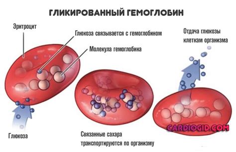 Повышенный уровень гликозилированного гемоглобина