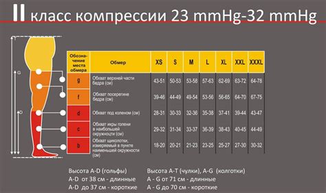 Подбор правильного размера и модели чулков