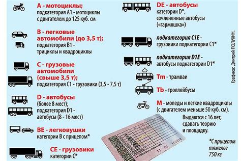 Подготовка к получению категории В1 АТ в правах