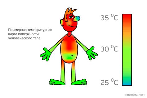 Поддержание тепла тела