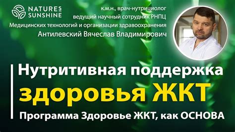 Поддержка здоровья желудочно-кишечного тракта