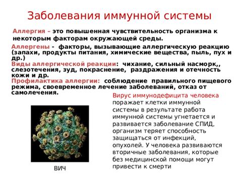 Поддержка иммунной системы и профилактика инфекций