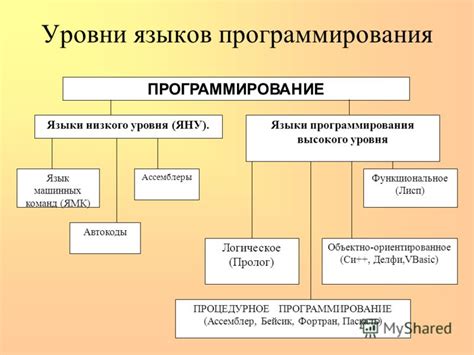 Поддержка различных операционных систем и языков программирования