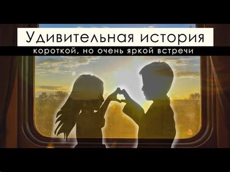 Подробности удивительной встречи