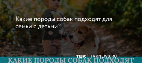 Подходят ли эти породы для семьи