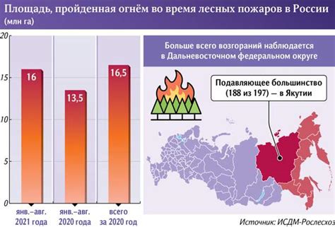 Пожары: главные риски и последствия