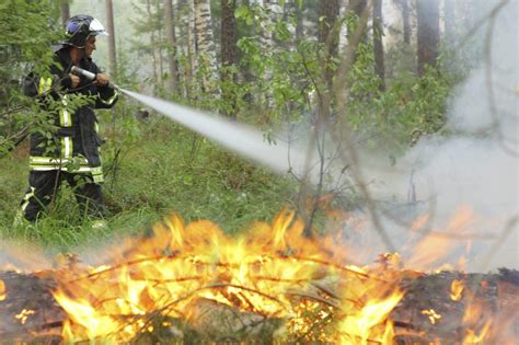 Пожары в лесах: причины и способы предотвращения