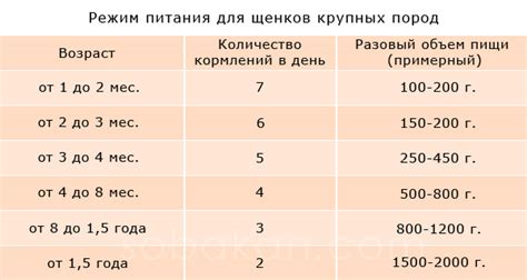 Показатели нормы питания для щенка в 2 месяца