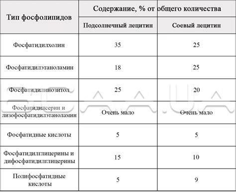 Полезные свойства лецитина и возможные побочные эффекты