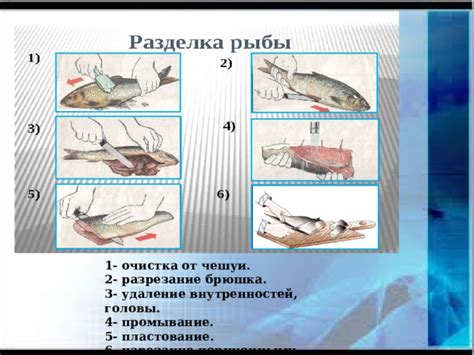 Полезные советы: как справиться с пассивностью, уловить побольше рыбы и не повредить ее