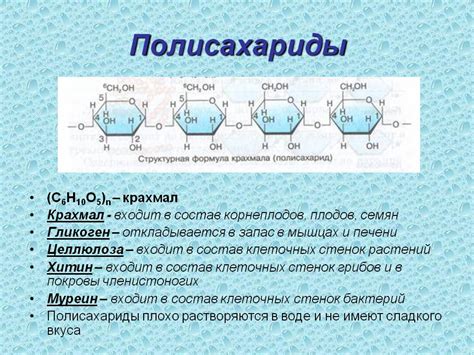 Полисахариды в составе стенки клетки