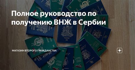 Полное руководство по получению гражданства Германии