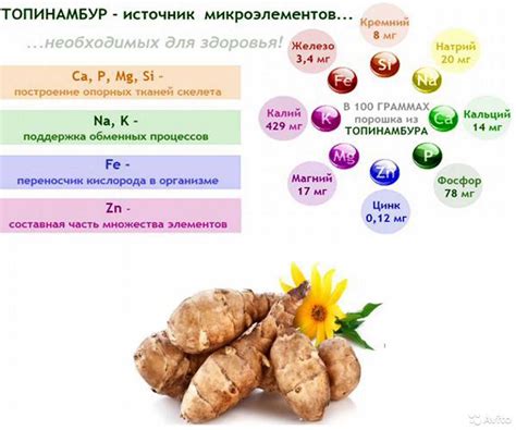 Польза для организма и витаминный состав