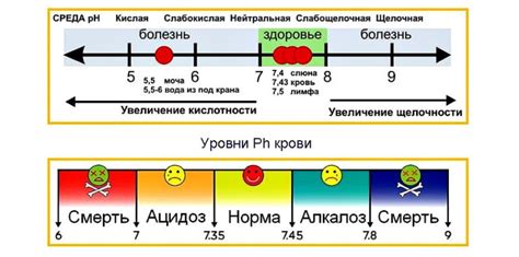 Польза щелочной диеты для организма